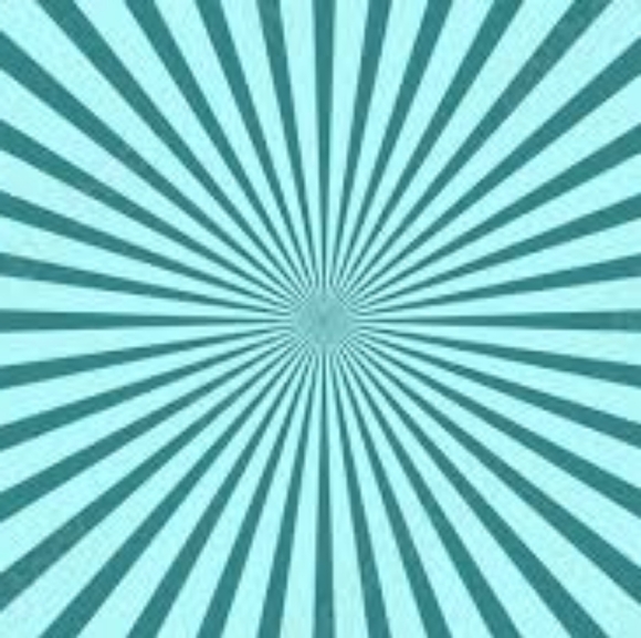 Orange Floral Velvet Skirt - Picture 1 of 2